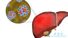 ����ı��λ��߸���ν������ƣ�