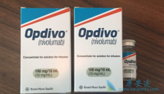 ���䵥���������ڷΰ�����Ч����Σ�