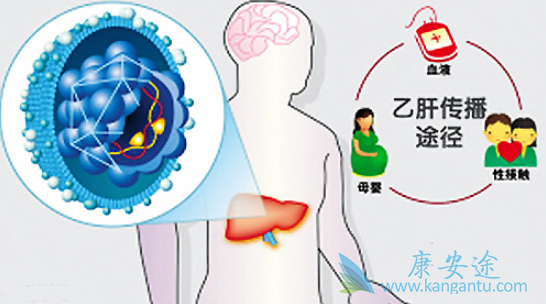 乙肝携带者传染吗 乙肝携带者传染吗