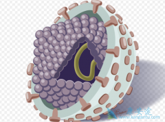 ������ô����Ч����ã�