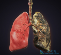 �ΰ����Ƶĸ���������Щ��