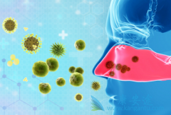 �Ҹ��������Ǯ���Ҹ�������ʲô��