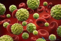 ��ϸ�����ص�����Щ��