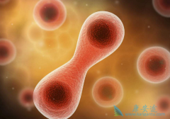 ��Ƥ������ҩ������Щ��