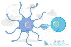 ������Ĥ��Ƥ����������