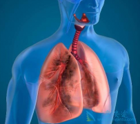 �ΰ�ת�Ƹ�������ƣ�