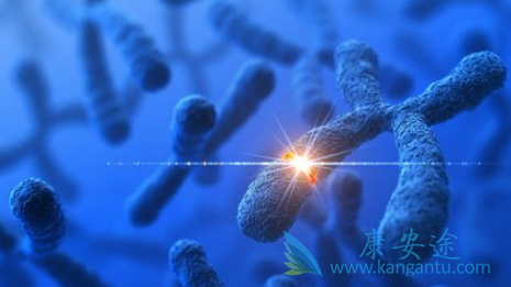 基因突变 基因突变