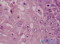 �зֻ��۰���Ҫ������