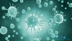 �Ҹα��濹�������Դ���ʲô���壿