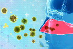 ���Ա��������ļ����Ƕ��٣�