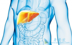 �Ҹ���ʲô�������������ģ�