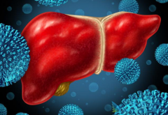 ����Ǳ�����Ƕ�ã�