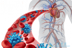 ���������ЧԤ�����β�����Ⱦ��