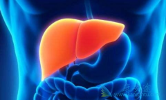 ���θ߷���Ⱥ����Щ��