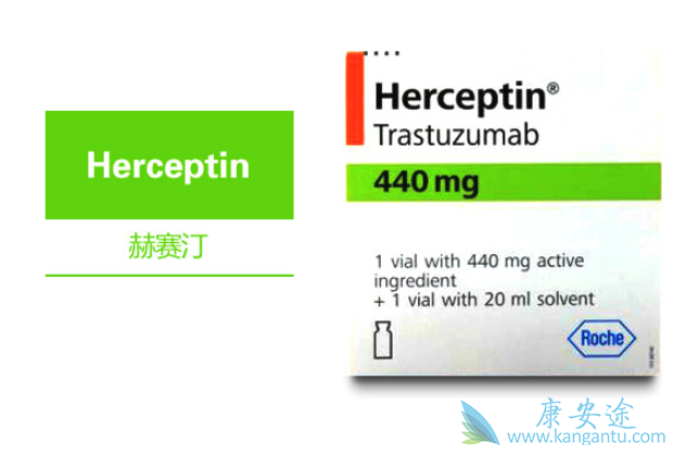 曲妥珠单抗适应症 曲妥珠单抗适应症