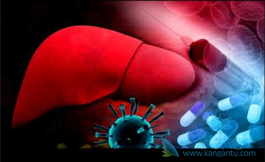 乙肝抗病毒治疗 乙肝抗病毒治疗