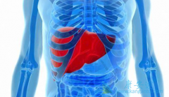 ���λ��߻��к���HCVĸӤ�����ļ����ж��