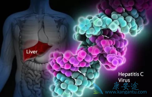 丙肝抗体阳性 丙肝抗体阳性