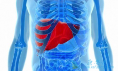 ��Ⱦ���β������ÿ��Լ�������