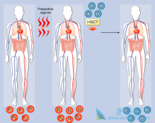 ������Щ����֢״Ҫ���������