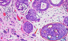 �ͷֻ��ٰ��ܻ�����ʲô���