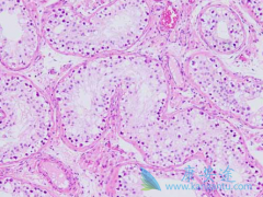 �ͷֻ��ٰ����κ�����ô�Σ�