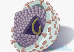 ���εĴ���;���Ͳ���֢