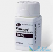 �����������EGFRͻ��ΰ������Ʊ��������