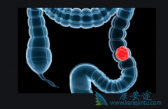 ߻�������������ת���Խ�ֱ����������Ч����ȫ��