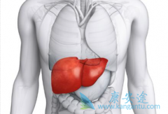 �Ҹδ����������Ҹ����԰�ת��Ϊ�λ���񻯣�