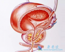 ǰ���ٰ�֢������֢״��ʲô��