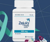 ��������(Zejula)���ӳ����ߵ���������