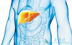 �Ҹβ���Я���ߵ���ʳҪע��ʲô��