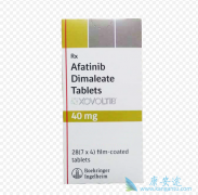 ȫ������������(afatinib)��ΪS768Iͻ�仼�ߴ����洦