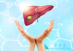 �����������𣿱������Ʒ��ö��٣�