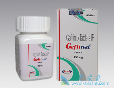 易瑞沙说明书 易瑞沙说明书