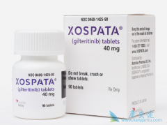 ��������(gilteritinib)����Ч��ô����