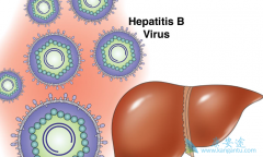 �������Ҹ�����Ч����