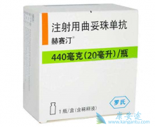 ����HER2���Եĸ���ת�����ٰ�����͡����Ч�϶�