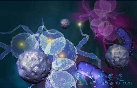 多发性骨髓瘤 多发性骨髓瘤