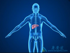 ����ת�ɸΰ����ܲ���ʹ�ñ���ҩ�