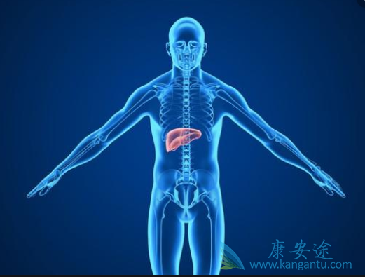 丙肝药物 丙肝药物