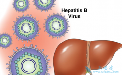 �Ҹ�С�����������Ҹβ����Ŵ���������