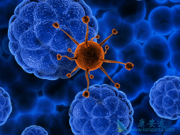 丙肝的症状 丙肝的症状