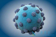 ���ε�Σ����ʲô��������������