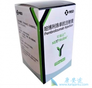 ����������������ٰ�Ч����ô����