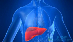 �����Ҹ����Ƶ���ҩ��������Щ��