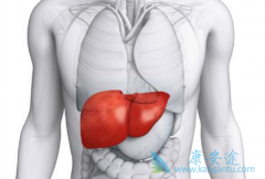 �Ҹ�DNA����Ŀ�ĺ����÷ֱ���ʲô��