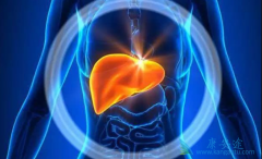 �Ҹο���������ҩ������ѡ��