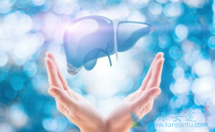 ��Щ���ػᵼ���Ҹθ�����